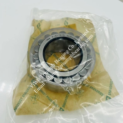 INA sans coupe, roulement à rouleaux cylindriques à double rangée complet F-217615.RNN