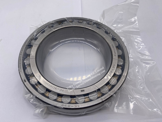 Rameau à rouleaux cylindriques de haute précision NSK NN3020MBKRCC1P4, NN3015MBKRCC1P4