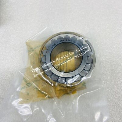 INA roulement à rouleaux cylindriques à double rangée F-217615.RNN