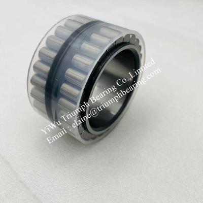 INA roulement à rouleaux cylindriques à double rangée, sans coupe, F-208101.RNN