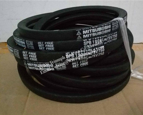 Le type de ceinture SPB MITSUBOSHI